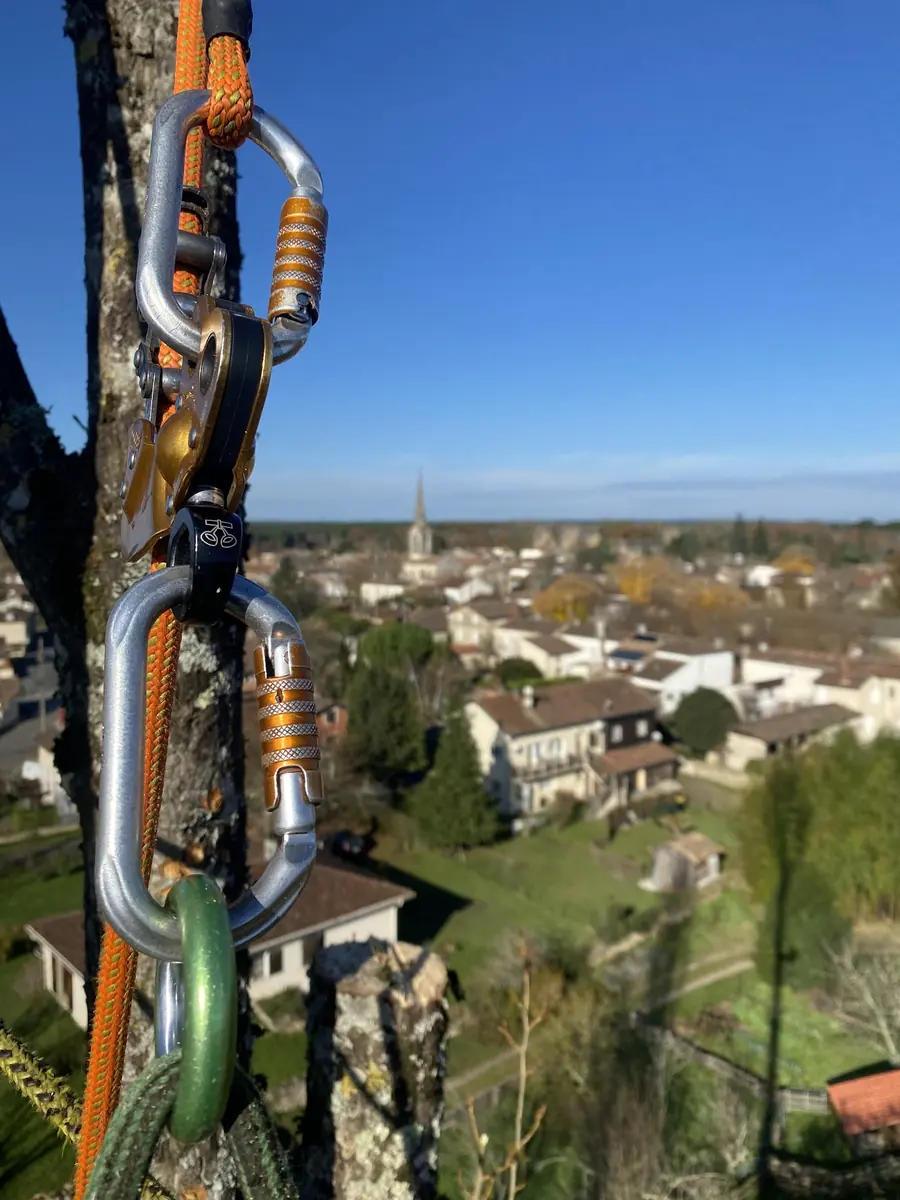 Matériel de grimpe en tête d'arbre, vue sur le village.