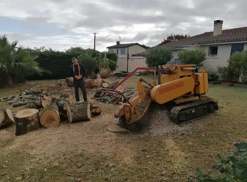 Rognage de souches dans un jardin, bois débité à côté.