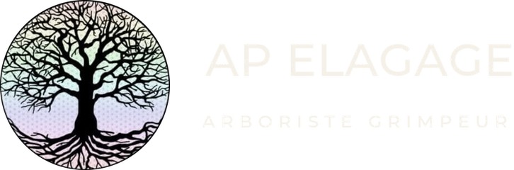 AP Elagage